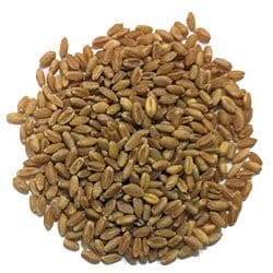Eden Valley Grain - Whole Wheat 20KG