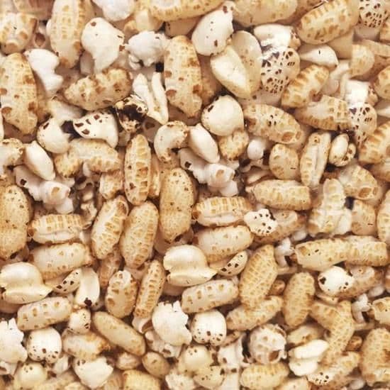 Good Morning Cereals Bulk - Brown Rice Puffs 2.5kg