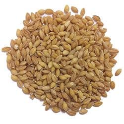 Eden Valley Grain - Barley Kernels 10kg